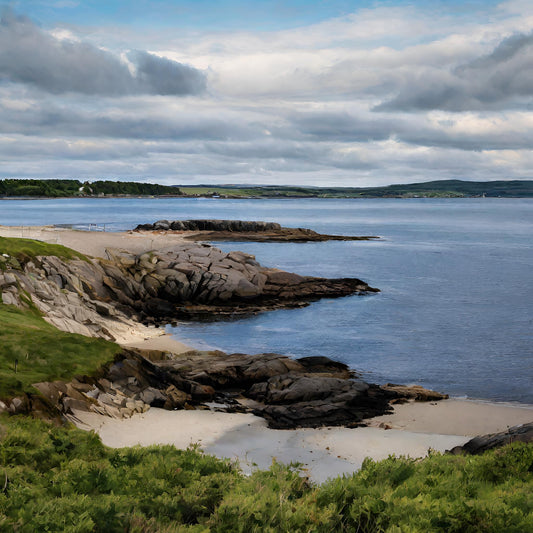 How Irish Sea Moss Gel Is Made: From Ocean to Jar