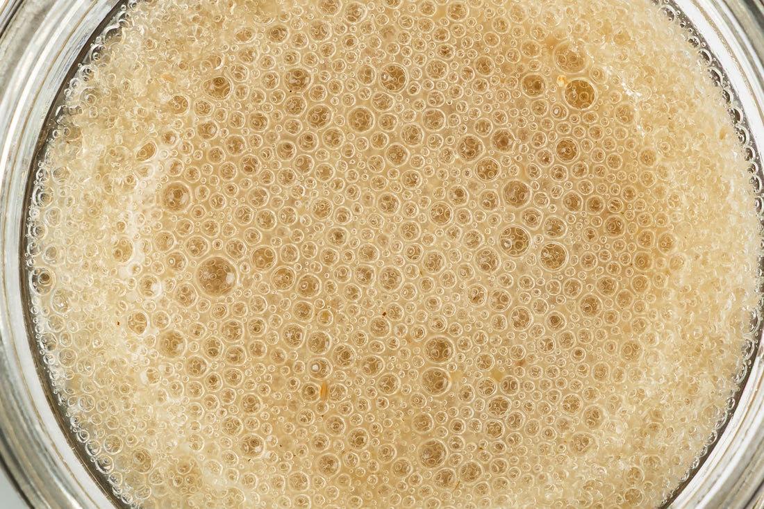 Best Irish Sea Moss Gel in the UK & Ireland: What to Look out for Before You Buy