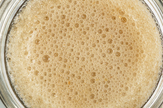 Best Irish Sea Moss Gel in the UK & Ireland: What to Look out for Before You Buy