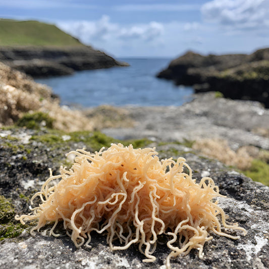 Achieving Holistic Wellness: The Role of Irish Sea Moss Gel