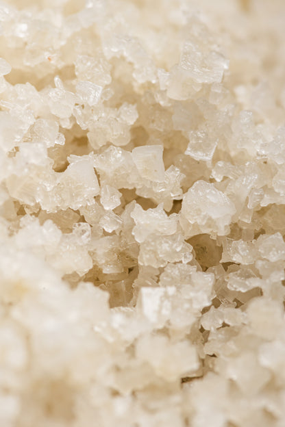 Balanced Life Organic Unrefined Celtic Salt | Rich in Minerals & Hydration Support